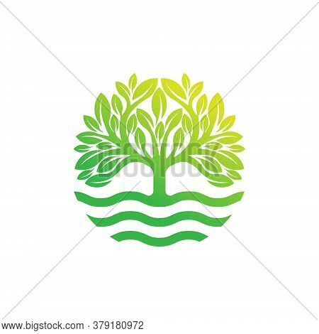 Tree. Tree Logo. Tree Logo vector. Tree icon vector. Tree icon. Tree Logo Vector. Decorative Tree Logo. Tree Logo design. Tree Logo vector. Tree Logo icon vector. Tree Sign. Tree Symbol. Abstract Tree logo vector design template illustration.