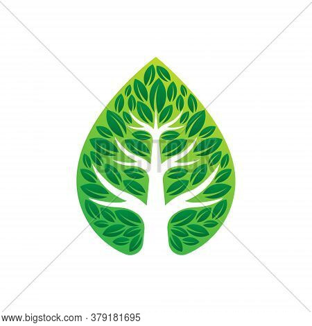 Tree. Tree Logo. Tree Logo vector. Tree icon vector. Tree icon. Tree Logo Vector. Decorative Tree Logo. Tree Logo design. Tree Logo vector. Tree Logo icon vector. Tree Sign. Tree Symbol. Abstract Tree logo vector design template illustration.