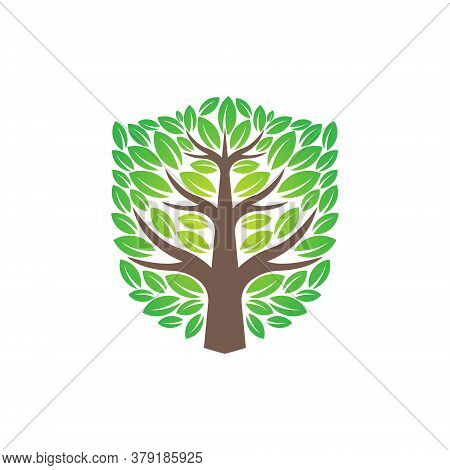 Tree. Tree Logo. Tree Logo vector. Tree icon vector. Tree icon. Tree Logo Vector. Decorative Tree Logo. Tree Logo design. Tree Logo vector. Tree Logo icon vector. Tree Sign. Tree Symbol. Abstract Tree logo vector design template illustration.