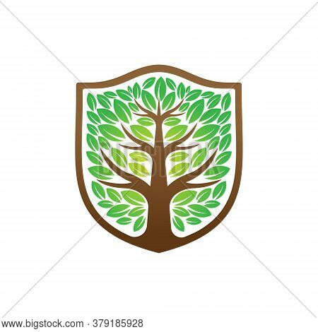 Tree. Tree 矢量图和照片（免费试用） | Bigstock