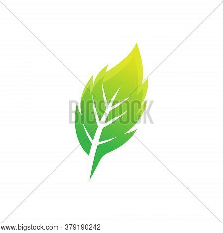 Leaf. Leaf icon. Leaf vector. Leaf icon vector. Leaves icon. Leaf vector icon. Leaf web icon. Leaf icons. Vector Leaf icon. Leaf icon design. Leaf Logo icon vector. Leaf Sign. Leaf Symbol. Trendy Leaf icon vector design template illustration.