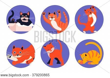 Set Of Social Media Story Highlight Icons For Cat Lovers. Cats Day, Pets In Different Poses Sitting,