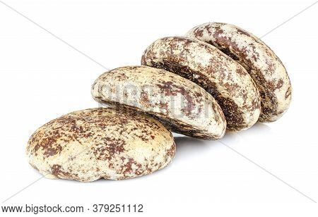 Lying Four Gingerbread Cookies In A Row Isolated On White Background