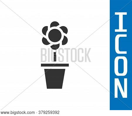 Grey Flower In Pot Icon Isolated On White Background. Plant Growing In A Pot. Potted Plant Sign. Vec