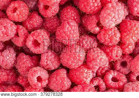 Raspberries Texture Background. Fresh Raspberries Berries Background.