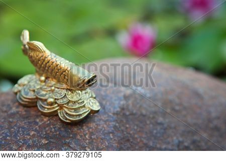 Image Of Fish Figure Water Lily Flower Background
