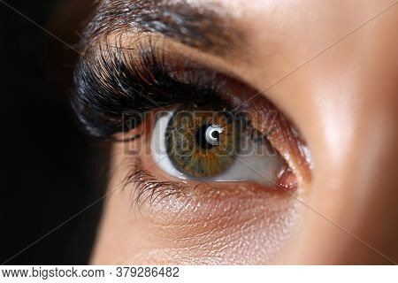 Beautiful Female Green Colored Right Eye With Eyelashes Extensions Close-up