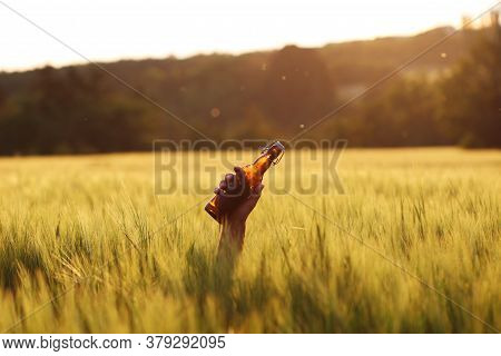A Man's Hand With A Dark Glass Beer Bottle With A Bugle Stopper In A Field Of Barley On A Summer Day