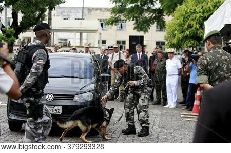 Salvador, Bahia / Brazil - August 2, 2016: Military Personnel From The Batalha De Choque Use A Dog D