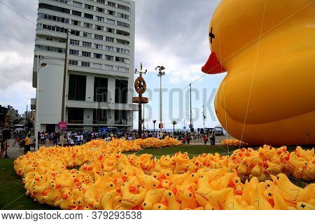 Salvador, Bahia / Brazil - November 29, 2015: Inflatable Duck Symbol Of The Campaign - I Will Not Pa