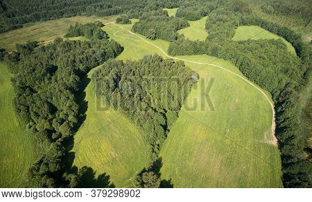 Heart Shape Forest In Green Field