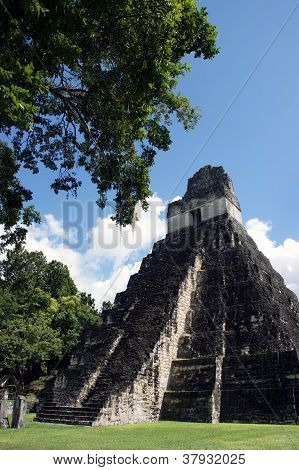 Temple Of The Great Jaguar In Tikal