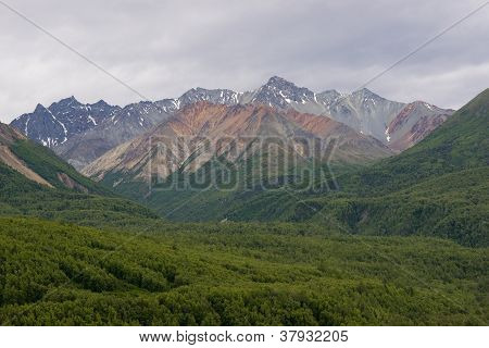 Gamma della montagna dell'Alaska