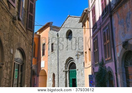 Gyde. Montefiascone. Lazio. Italien.