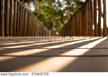 Wooden Walkway In The Middle Of The Forest With The Sun Shining.