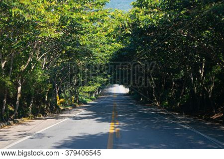 Road Surrounded By Nature With Trees Creating Shadows