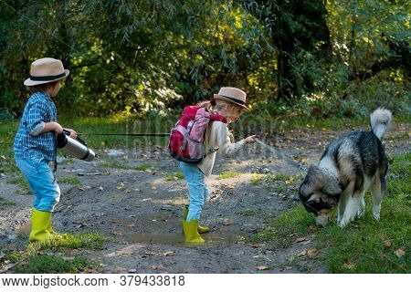 Little Brother And Sister Walk With Puppy. Childhood Memories. Adventure And Vacations Children Conc
