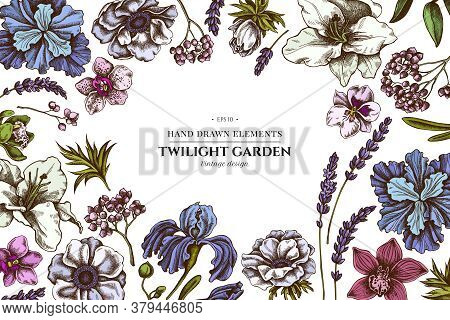 Floral Design With Colored Anemone, Lavender, Rosemary Everlasting, Phalaenopsis, Lily, Iris Stock I