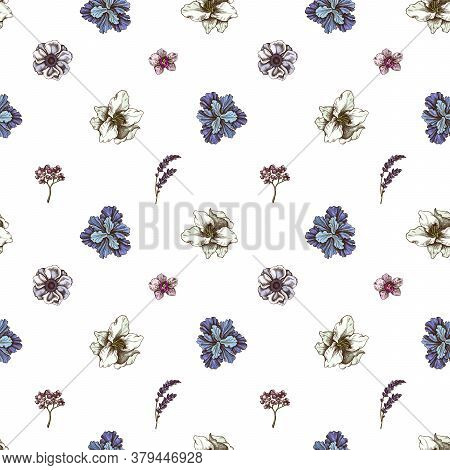 Seamless Pattern With Hand Drawn Colored Anemone, Lavender, Rosemary Everlasting, Phalaenopsis, Lily
