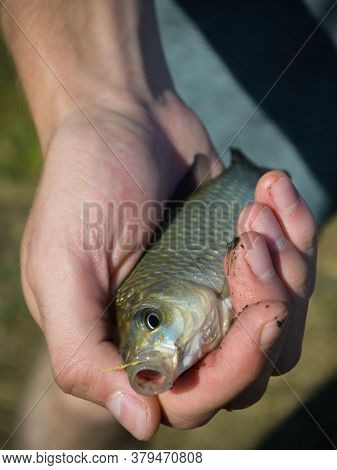 A Man Holding A Small Fish In His Hand Which He Caught In The River