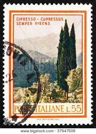 Postage stamp Italy 1966 Cypresses, CupressusSempervirens
