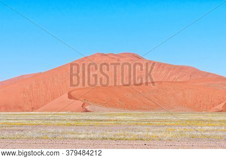 The Floodplain Of The Tsauchab River Near Sossusvlei With A Tall Sand Dune In The Back