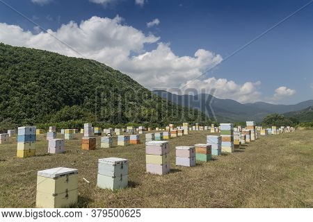 Beekeepers Working To Collect Honey