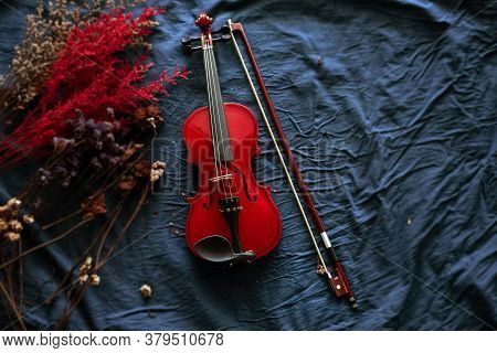 Violin And Bow Put Beside Dried Flower On Grunge Surface Background,vintage And Art Tone,classic Sty