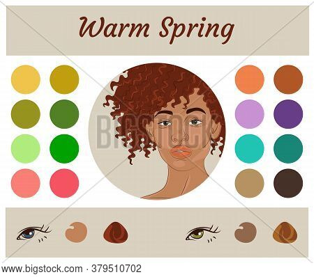 Stock Vector Seasonal Color Analysis Palette For Warm Spring. Best Colors For Warm Spring Type Of Fe