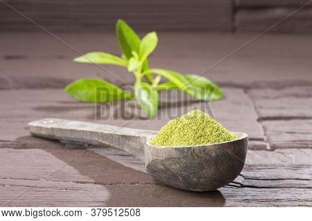 Fresh Green Stevia Herb And Extract Powder - Stevia Rebaudiana.