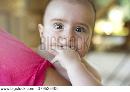 Cute Little Baby Boy Image & Photo (Free Trial) | Bigstock