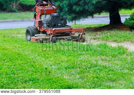 Gardening Activity, Lawn Mower Cutting The Grass Driven Lawn Mower In Sunny Garden