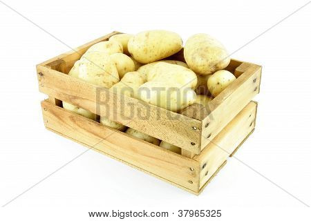 มันฝรั่ง
