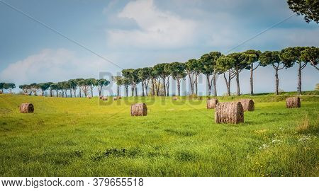 Make Hay While The Sun Shines- A Golden Landscape Of Rolling Fields Is Punctuated With Two Large Rou