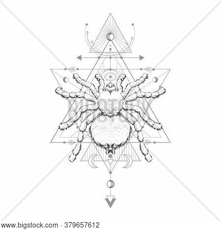 Vector Illustration With Hand Drawn Spider Tarantula And Sacred Geometric Symbol On White Background
