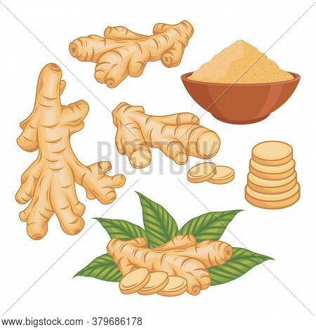 Ginger Vector Set Illustration With Ginger Powder In The Bowl