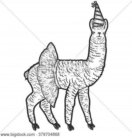 Animal Llama, In A Skirt And A Birthday Cap. Sketch Scratch Board Imitation.