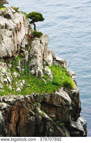 Huge Rocks On The Ocean, Sea Summer Landscape, Gamova Lighthouse, Russia, The Southernmost Point Of 