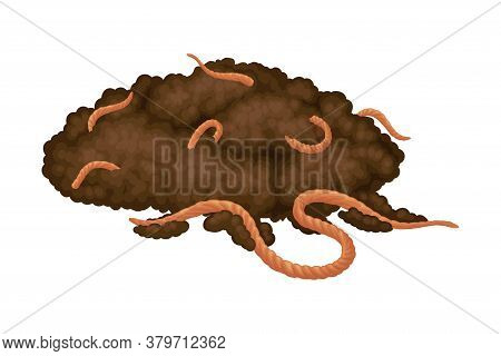 Pile Of Topsoil With Earthworms As Organic Fertilizer For Soil And Plant Growth Vector Illustration