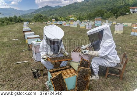 Beekeepers Working To Collect Honey