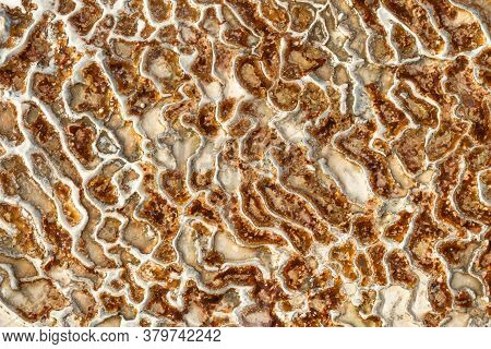 The Surface Of The Limestone In The Form Of Intricate Patterns. The Texture Is Made By Flowing Water