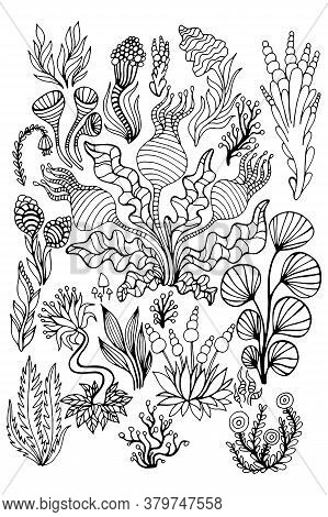 Big Set Black And White Abstract Doodle Surreal Plants, Flowers, Mushrooms, Isolated Background.
