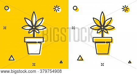 Black Medical Marijuana Or Cannabis Plant In Pot Icon Isolated On Yellow And White Background. Marij