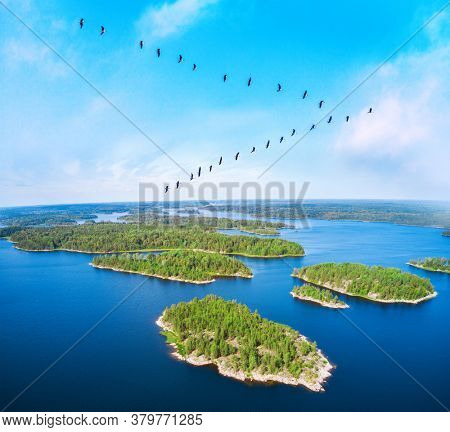 flock of migrating. Birds over beautiful blue lake with islands