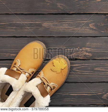 Autumn Fashion Concept. Brown Orange Leather Women Boots With Fur, Checkered Warm Plaid, Golden Autu