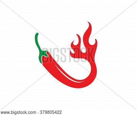 Chili Logo Vector Template Design