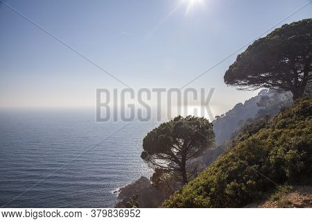 Seascape View On A Sunny Day. Pine Trees In The Haze On The Seashore. Mediterranean Sea, Spain.