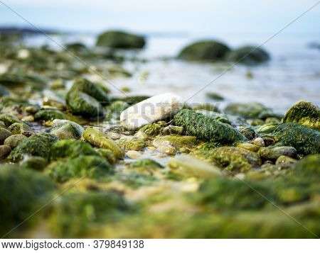 Baltic Coastline Under A Partly Cloudy Sky, Beautiful. Baltic Sea, Rocks, Landscape. Close Up. Green