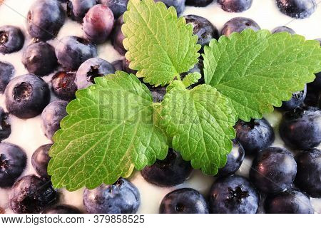 Closeup Of Blueberries In White, Rular Yogurt With Piece Of Mint.