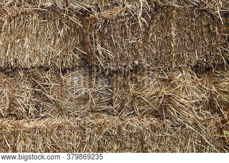 Natural Hay Fodder Feed Straw Bale Stacked Binded Bound Close-up Suitable For Background Website Bac